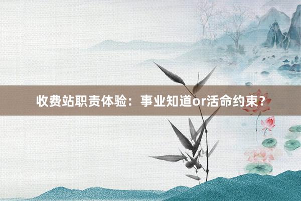 收费站职责体验：事业知道or活命约束？